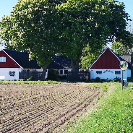 Knappagården Glemminge Exteriör bild