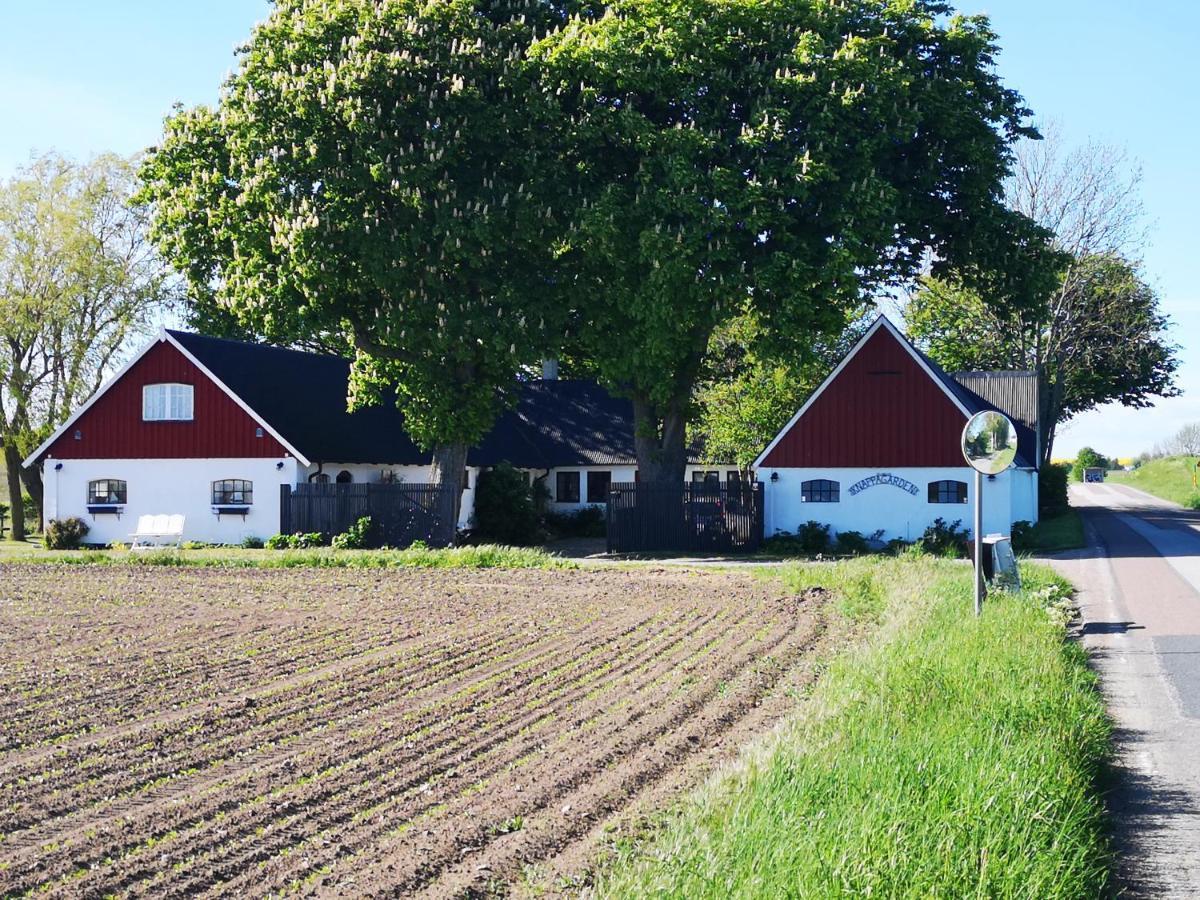 Knappagården Glemminge Exteriör bild