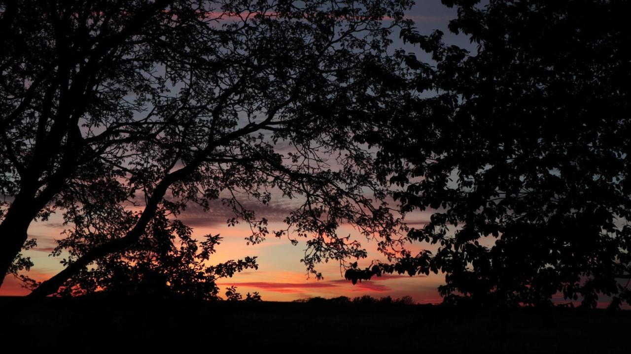 Knappagården Glemminge Exteriör bild
