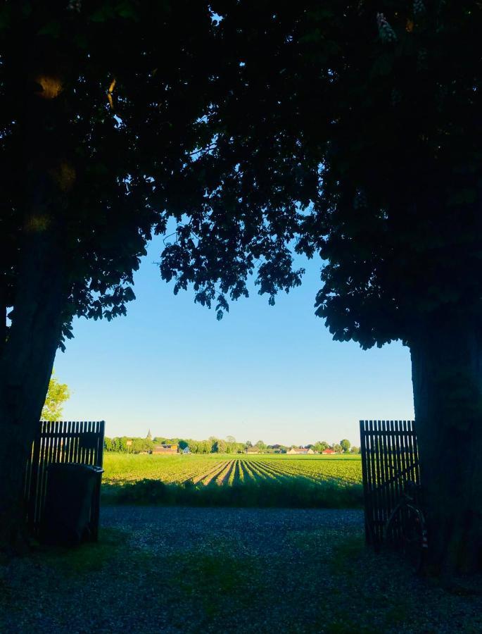 Knappagården Glemminge Exteriör bild